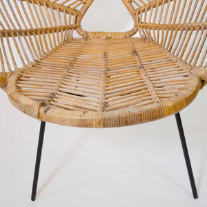 A Rare and Beautiful French Cane and Raffia Flower Chair