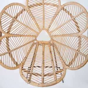 A Rare and Beautiful French Cane and Raffia Flower Chair