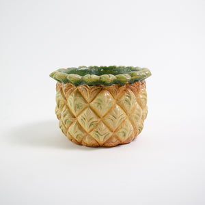 Vintage Pineapple Plant pot