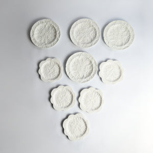 A Selection of White Cabbage Plates
