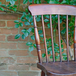 Set of Vintage Harlequin Windsor Chairs