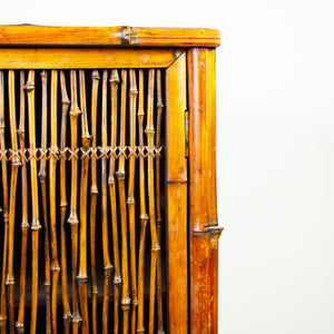 Charming French Bamboo and Cane Cabinet