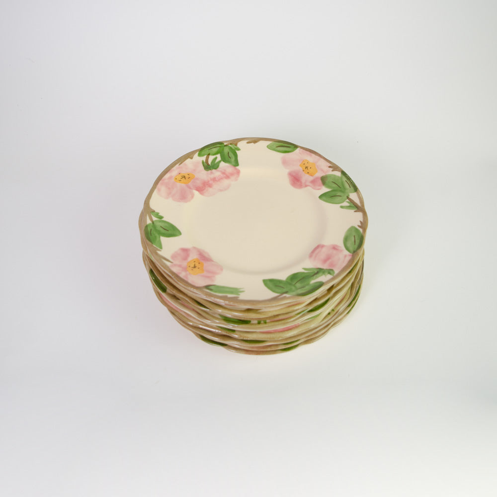 Franciscan Desert Rose Plate Set  (12)