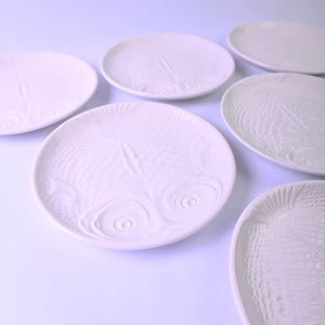 White Fish Plate Set