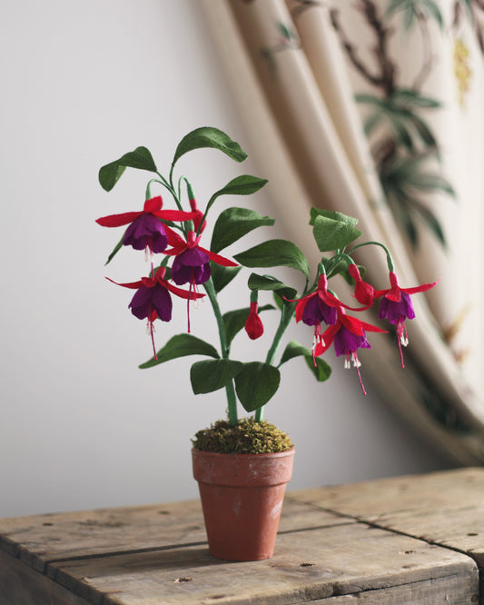 Forever Fuchsia